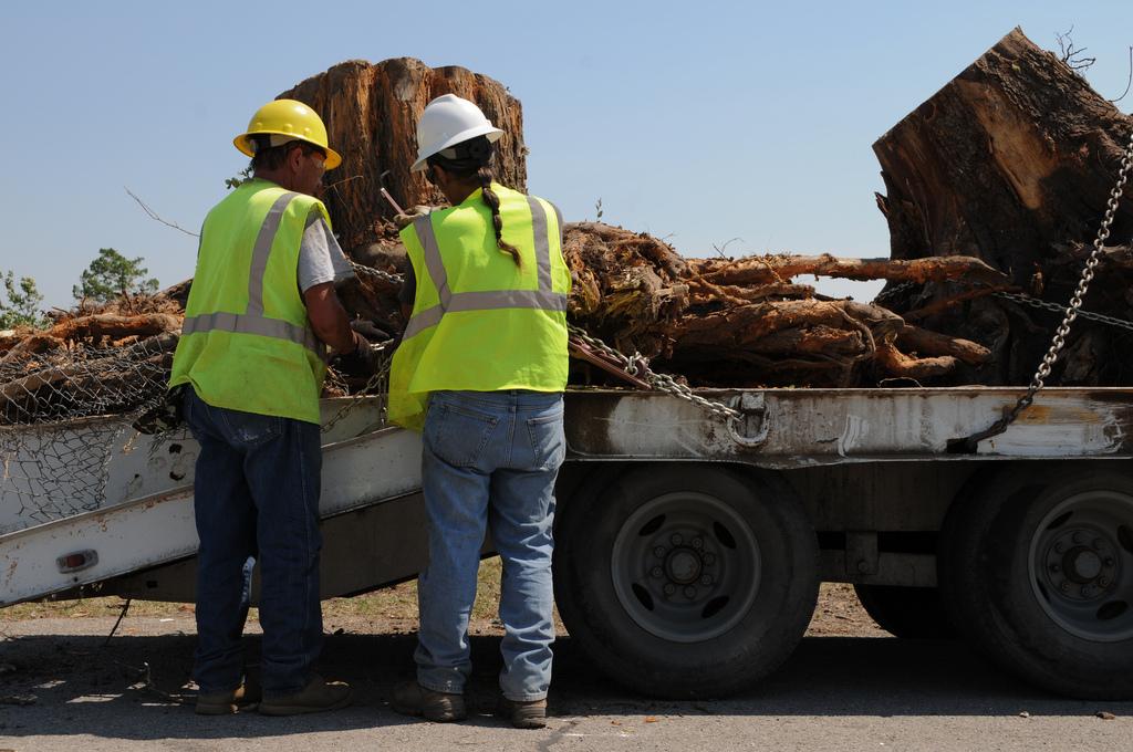 Two workers in hi-vis vests loading a rotted out stump onto the back of a large truck in order to haul it away