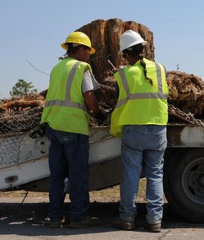 A rotted out tree stump being loaded onto the back of a flatbed truck